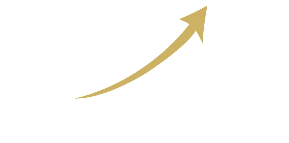 DL Business Consultant Logo